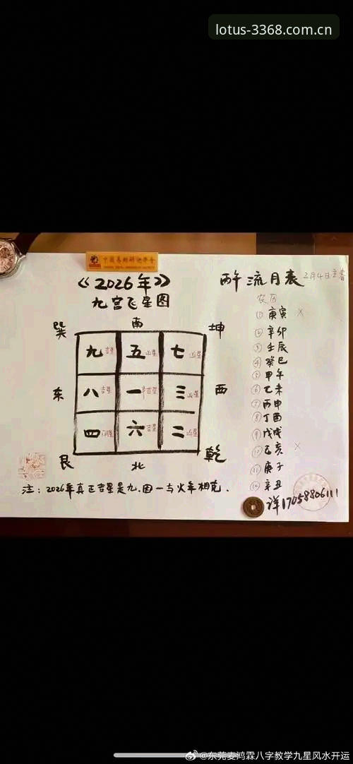 3368财神安卓版官方下载完整指南：新手入门与操作详解